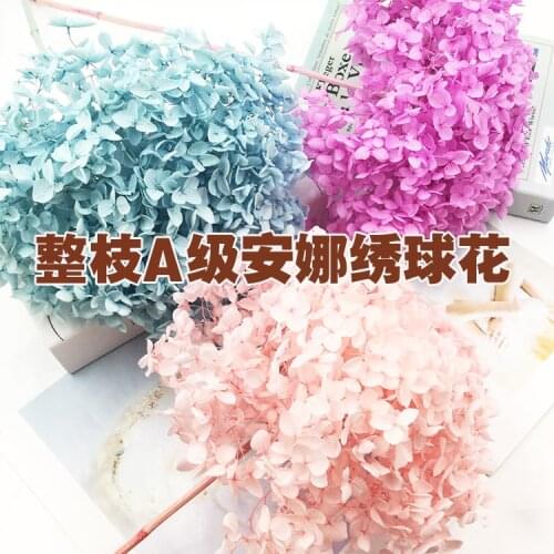 Pruning Anna Leaflet Hydrangea Flower Eternal Flower Dried Flower Home Flower Arrangement Ins Wind Decoration B & B Shop Window