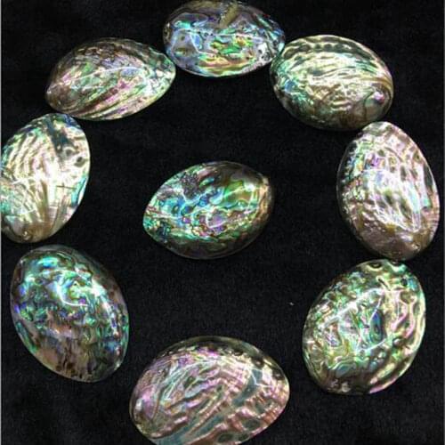 Natural Abalone Shell Stone No Hole Loose Beads High Quality 40x50mm Smooth Irregular DIY Gem Jewelry Accessories 5Pcs wk290