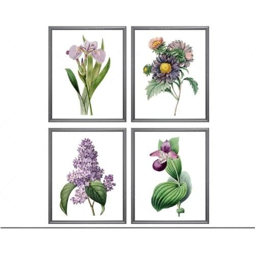 Impressions de fleurs violettes, illustrations rétro, ensemble d'art mural végétal de 4 impressions