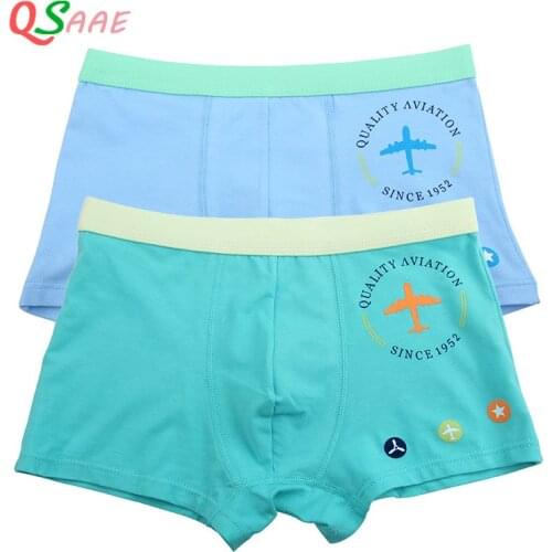 2 Pcs/lot Cotton Cartoon Kids Boys Underwear Summer Soft Breathable Baby Boxer Childrens Clothes Underpants Boy Briefs 8-16 Yrs