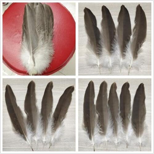 Wholesale 10-100 pcs Rare 25-35cm/10-14inches Natural Pheasant Feathers For Wedding Christmas Home Craft Decoration