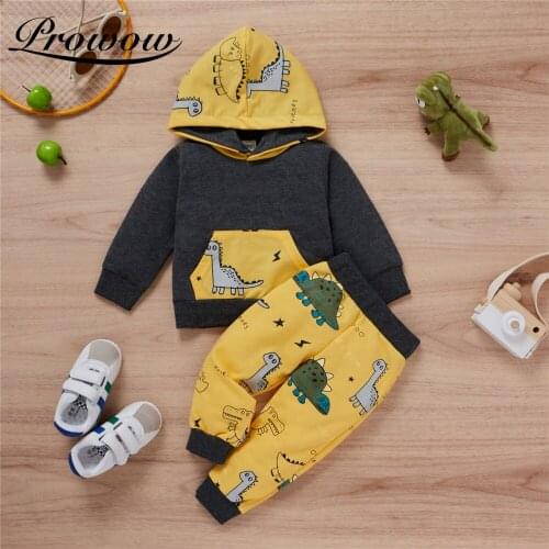 Prowow Dinosaur Cartoon Baby Boys Clothes Set Autumn Winter Kids Toodker Boys Costume Hooded Top+Pant Cotton Childrens Clothing