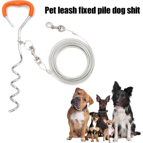 Peitten Animal Decorations
