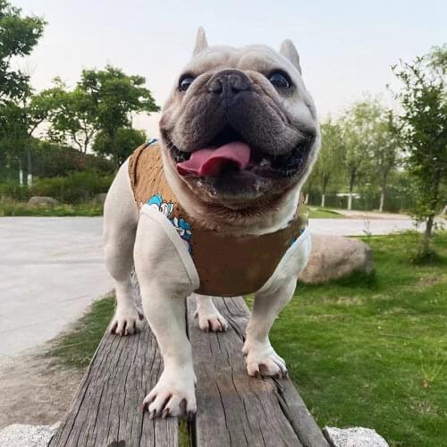 Dog Clothes Small Dogs S-XXL Simple Fashion Puppy Dog Accessory Cat T-shirt Pet Vest Sleeveless Summer Clothes Dog Shirt B1303