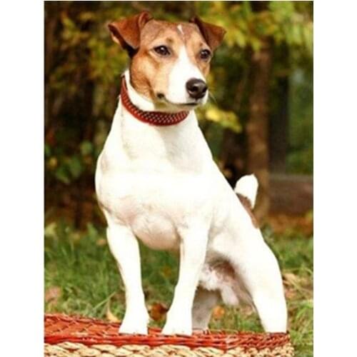 Diamond Embroidery Jack Russell Terrier Dog picture of Rhinestones Mosaic 5D Diamond Painting Full square / Round Decor FG1177