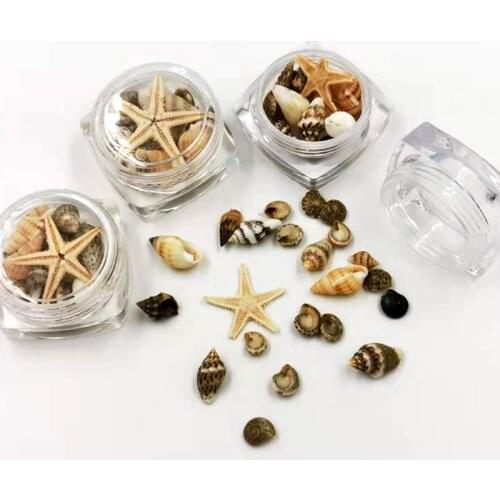 Mini Natural Beach Seashell Starfish Nail Decor Pendant Making
