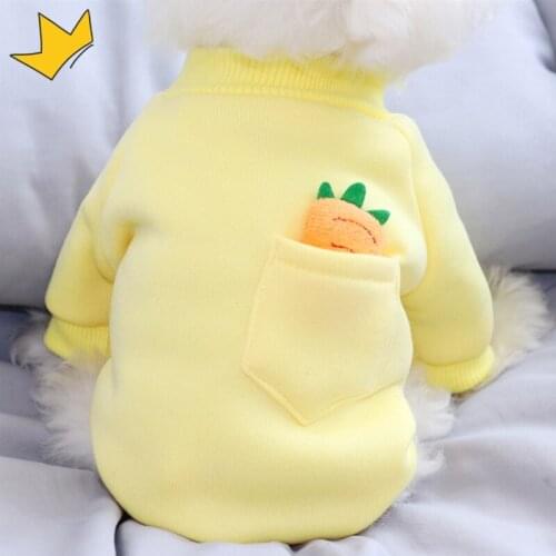 Dog Hoodie Cat Doggie Puppy Small Dog Costumes Chihuahua Yorkshire Terrier Pomeranian maltese Bichon Poodle Pet Clothing Coat