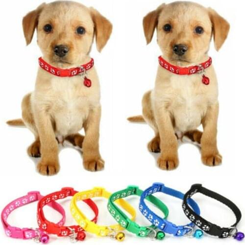 2019 Brand New Style 12Pcs/set Colours Dog Puppy Kitten Newborn Welping ID Bands Collars Set Necklace