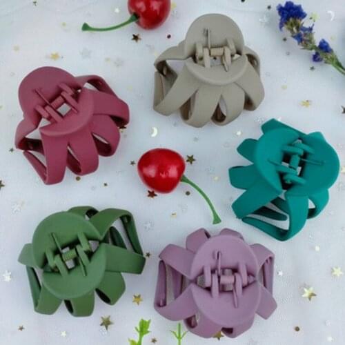 2021 Spring Summer Pan Hair Small Grab Clip Half Ball Hair Clip Small Hairpin Back Head Hairpin Headdress Bath Pan Hair Fixer