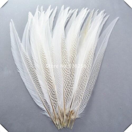 Free shipping 50pcs/lot 65-70cm silver pheasant feathers for craft dancer decoration plumages