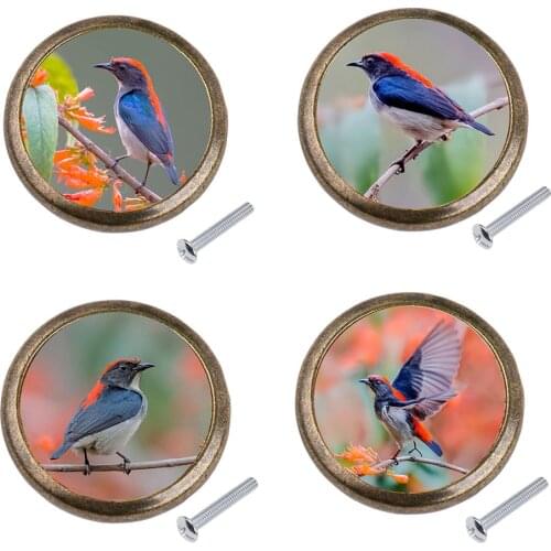 Birds On the Branches Pattern Round Door Knobs Zinc Alloy for Cupboard Cabinet