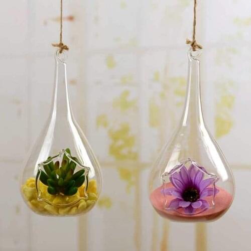 Set of 2 Hanging Planters Glass Plant Containers Hanging Air Plant Pots Hanging Air Plant Containers