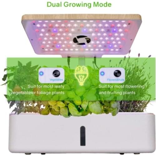 Wholesale Grow kits Household hydroponics indoor garden grow cherry strawberry intelligent plants indoor hydroponic systems