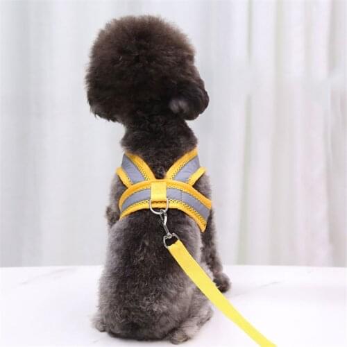 Pet Dog Cat Reflective Mesh Chest Harness Traction Rope Walking Safety Breathable Small Medium and Large Dogs Pet Supplies Pet