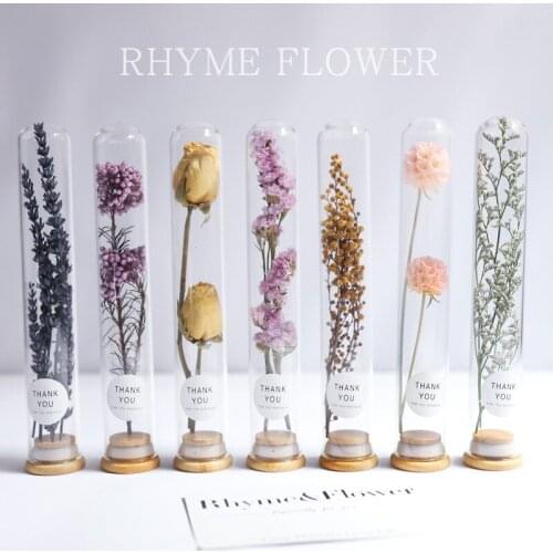 Dried Flower Glass Test Tube Decorations Family Living Room Study Specimens Ornaments Creative Gifts