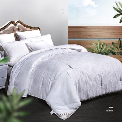 Natural 100%Silk Filler Quilt Winter Summer 2/3/4 kg Silk Blankets Exquisite Manual Satin Jacquard Silk Comforter Accept Custom