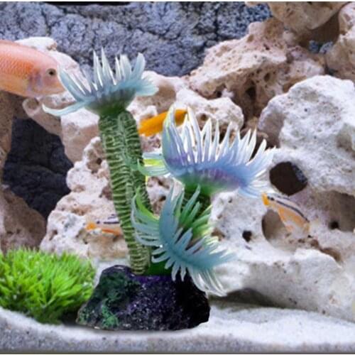 TAONMEISU Equipment For Aquariums