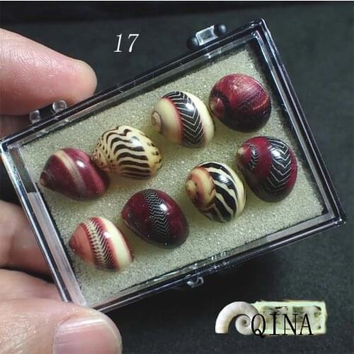 A set of 8 red spotted snails with a display box with bright colors and good appearance
