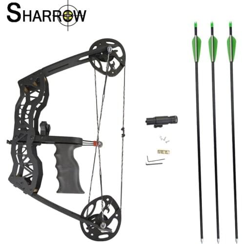 1set 35lbs Archery 100 Meter Shooting Range Metal Compound Wheel Compound Bow With 3 Arrows 1Bow Sight Hand Grip Hunting Bow