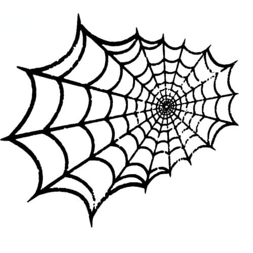 Cartoon Personality SPIDER WEB Vinyl Decal Car Sticker Black/Silver Accessories 20cm*18cm