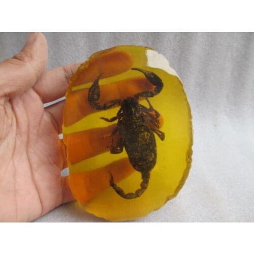 Exquisite collection of ancient China Artificial Amber Resin scorpion