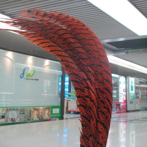 10 pcs/lot 32-40 inch/80-100 cm orange Lady Amherst Pheasant feather for Home Decoration,Wedding Party Decoration