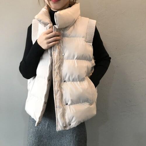 Winter Black Stand Collar Cotton Zipper Waistcoat with Pockets Womens Loose and Thin Sleeveless Fashion Warm Beige Vests 9840