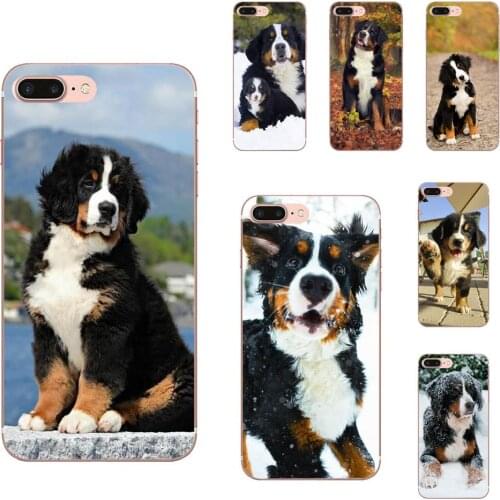 TPU Cases Fundas For Apple iPhone 4 4S 5 5C 5S SE 6 6S 7 8 Plus X XS Max XR Berner Sennen Dog Bernese Mountain