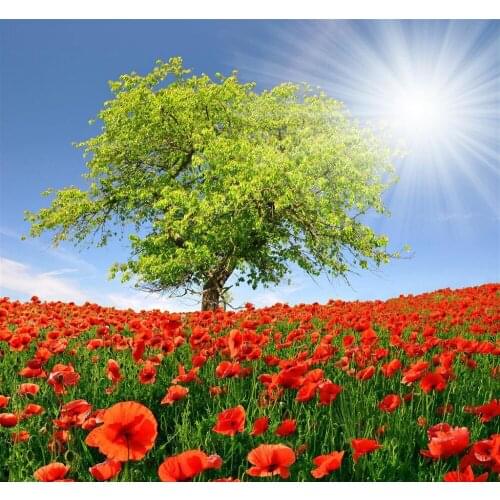 Diy Diamond Painting Sunshine Garden And Trees 3d Square Full Rhinestones Pictures Diamond Embroidery Mosaic Crafts For Handmade