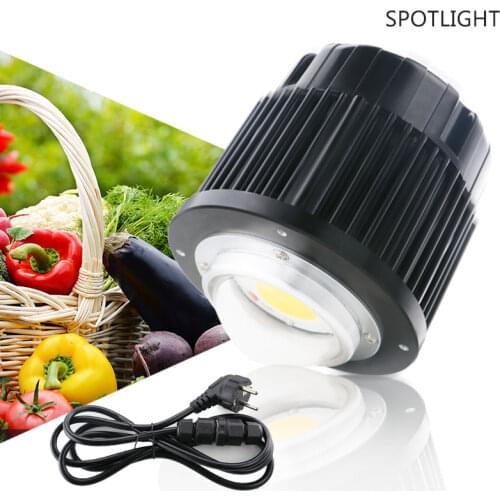 YXO YUXINOU Bicycle Lights