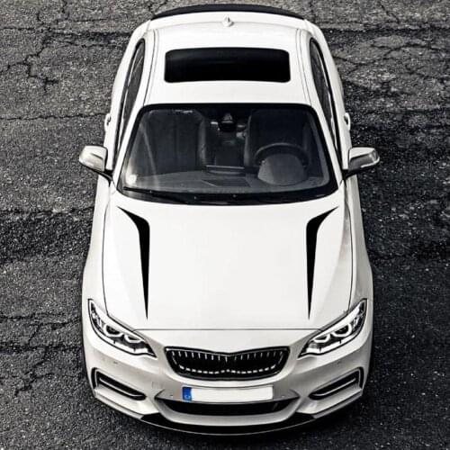 Long Strip 2Pcs/Sheet Stylish 100cm x 26cm Universal Car Long Strip Sticker Smooth Auto Film Self-adhesive for Car