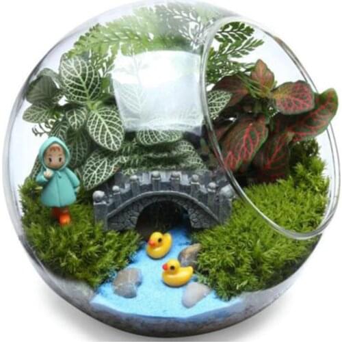 2021 Globe Ball Glass Hanging Plant Terrarium Flower Vase Pot Wall Wedding Decor Globe Ball Glass Hanging Plant Terrarium Flower