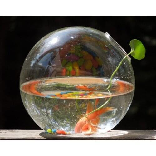 Free Shipping Diameter=20cm Big Size Side Hole Glass Terrarium Fishbowl Creative Round Shaped Table Aquarium Home Decoration