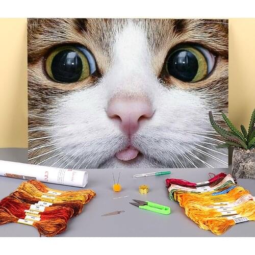 Cat Animal Printed 11CT Cross Stitch Complete Kit DIY Embroidery DMC Threads Sewing Painting Handicraft Handmade Different