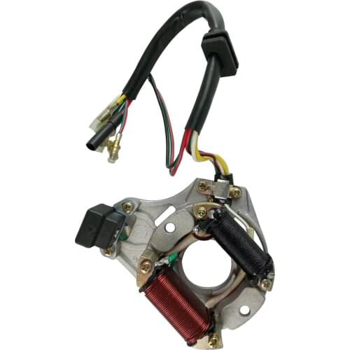 Stator Plate50cc 70cc 110cc 125ccatv Go Kart 2coil Dy100 Coil