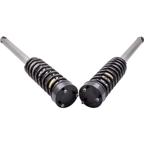 2X Rear Coil Spring Suspension for Benz S Class S430 S500 S55AGM S600 2203205013