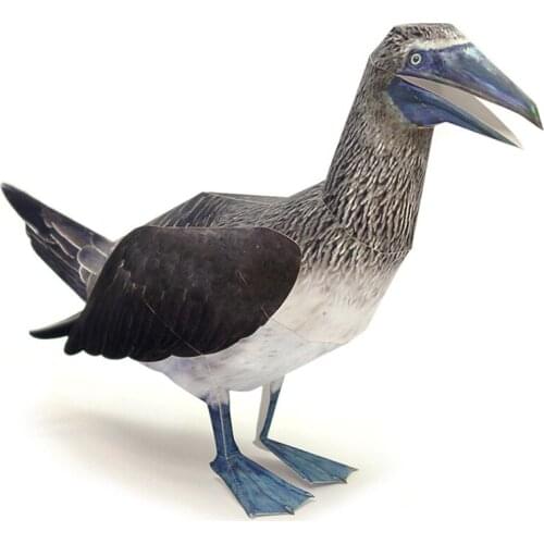 Blue-footed Booby Bird Paper Model Realistic Animal Mini Cute Fold Card 3D Papercraft DIY Kids Adult Handmade Craft Toys WE-042