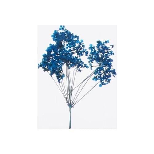 Mix Pressed Flower Leaves Plant Specimen Fillers for Epoxy Resin Jewelry Making L4ME