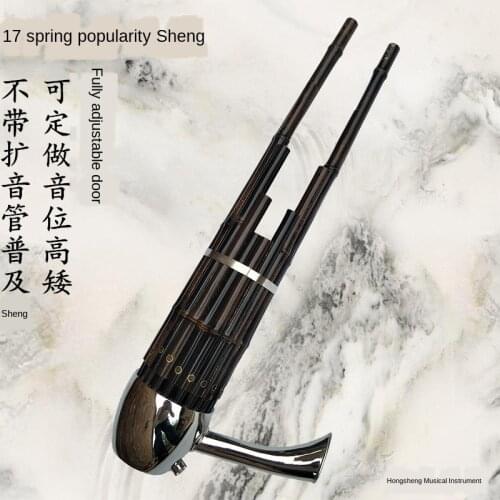 17 Spring Cegd Tune National Musical Instrument Sheng Professional Adult Children Beginner