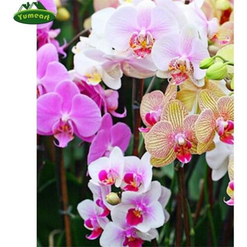DIY Diamond Painting by Number Cross Stitch Orchid Flowers Kits Needlework Diamond Embroidery Pattern Rhinestons Crystal Mosaic