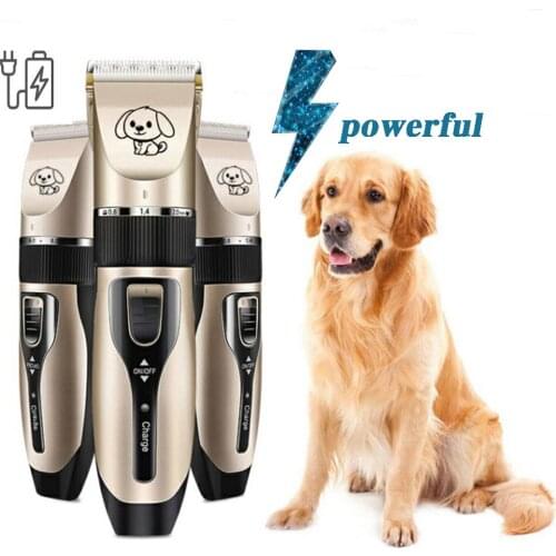 Аксессуары для собак Queenral China At AliExpress