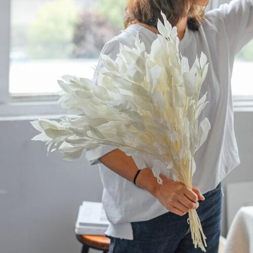 5PCS Immortal Orange Leaves Preserved Dried Natural Flowers Fresh Plant Leaf Floral Wedding Party Deco Mariage Decoracion Hogar