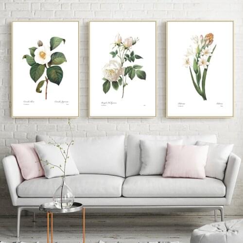 White Flower Plants Posters and Prints Redoute Botanical French Cottage Decoration Canvas Painting Pictures Home Wall Art Decor