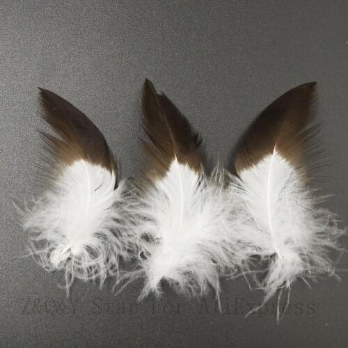 Natural 5-10CM and 10-15CM rare starling feather 10-20 PCS DIY collection crafts headdress earrings accessories feather