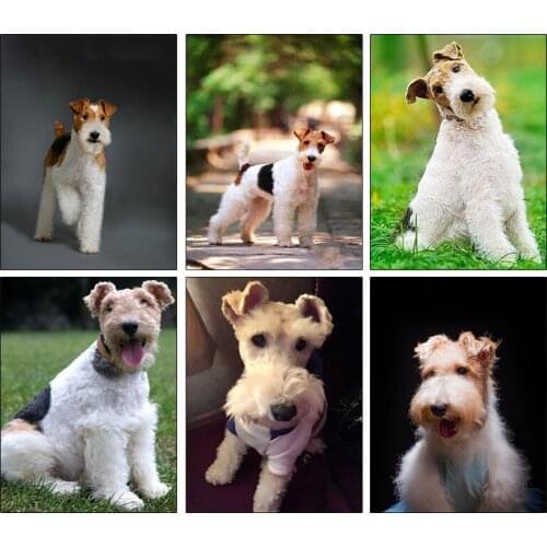 PDMDOG 5d Full Round Diamond Embroidery Dog Pattern Diamond Painting Bristle Fox Terrier Christmas Diamond Mosaic Paintings Cute