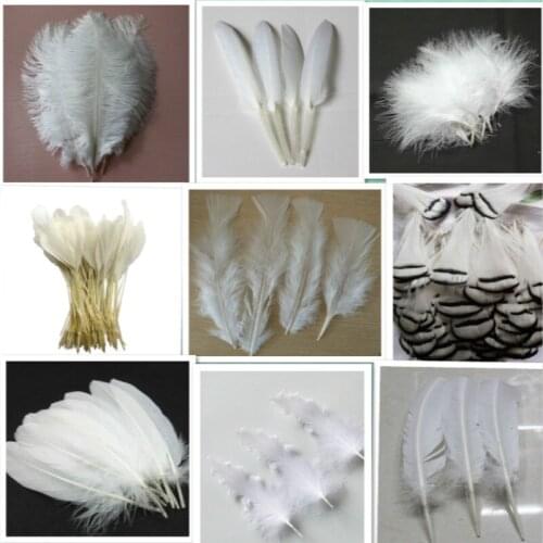 20pcs15 kinds white of Beautiful Rooster feathers 5-30cm pheasant chicken plume for DIY Party Craft decoration