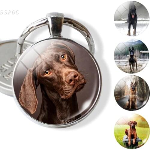 Dog Pendant Animal Key Chain Glass Dome Cabochon Jewelry Keychain Car Key Holder Pet Dog Cartoon Art Accessories Birthday Gift