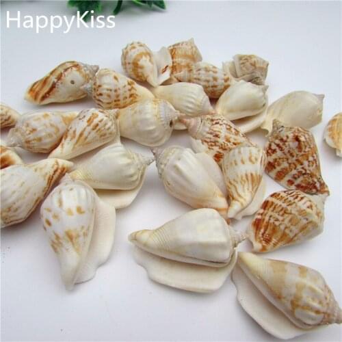 HappyKiss 5pcs Natural conch shells bandits screw drift accessories platform microscopic potted creative diy seafish