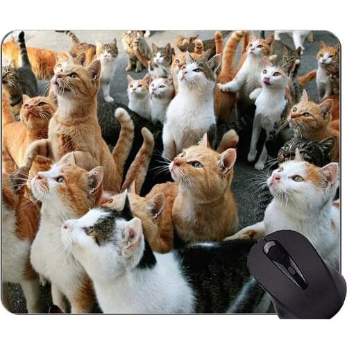 Mouse Pad with Stitched Edge,Aoshima Japanese cat Home Office Computer Accessories Mousepads