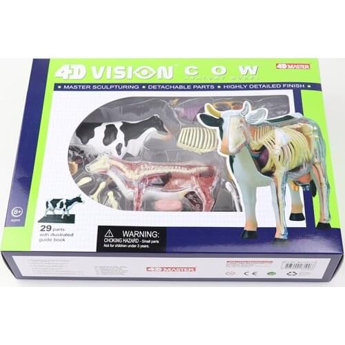 Cow teaching model 4D MASTER puzzle assembly toy simulation animal biological organ anatomy medicine